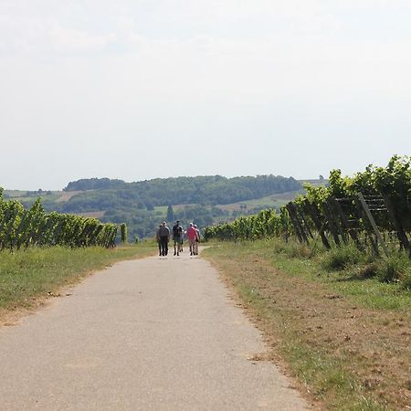Ferienwohnung Familie Seuferle Schweigen-Rechtenbach Exteriér fotografie