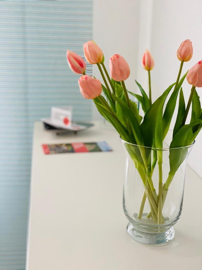 Ferienwohnung Familie Seuferle Schweigen-Rechtenbach Exteriér fotografie